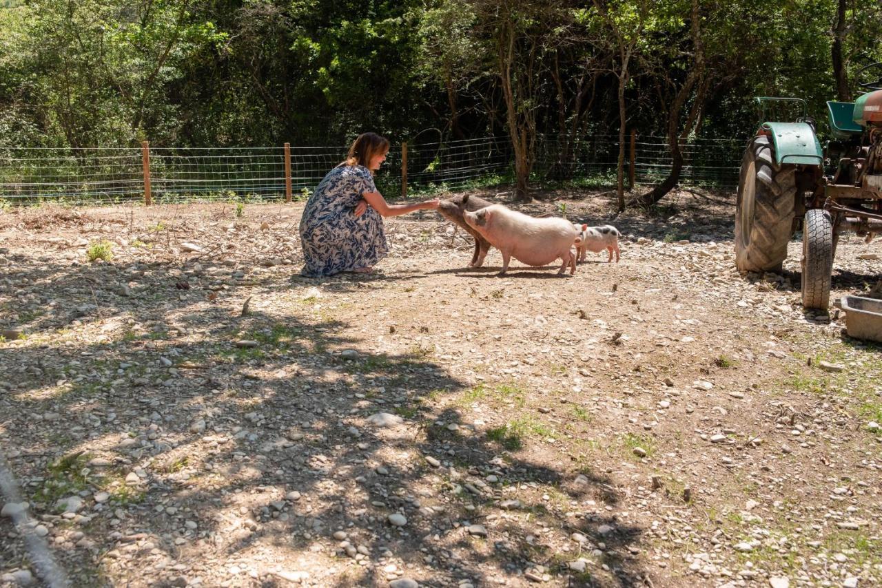 Domaine Des Bridoux Village De Gites Mirabel-aux-Baronnies Dış mekan fotoğraf